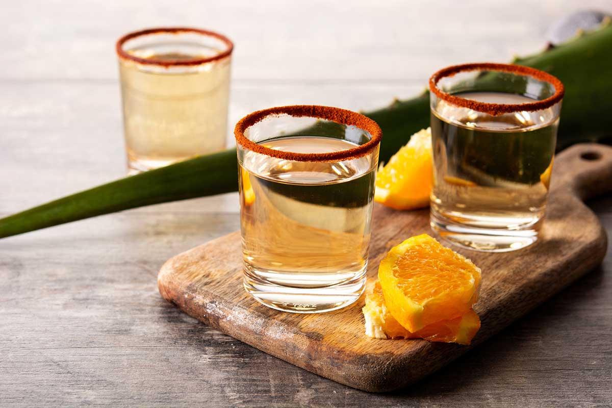 Encuentro Nacional del Mezcal 2025 en Puebla: catas, música y talleres para celebrar el agave