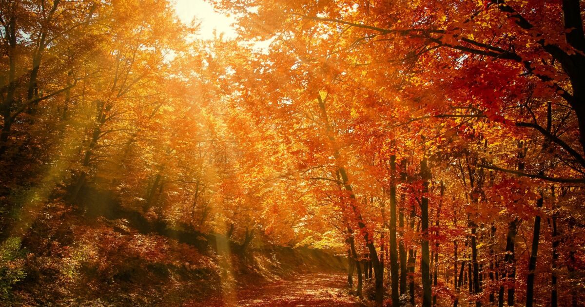 ¿cuándo es el equinoccio de otoño 2025? Hora exacta y lo que significa este evento cósmico la revista del sureste mx Otono 3