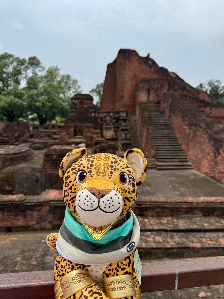 Temayín, mascota del tren maya, celebra su 1er aniversario con promociones especiales la revista del sureste mx Temayin 2