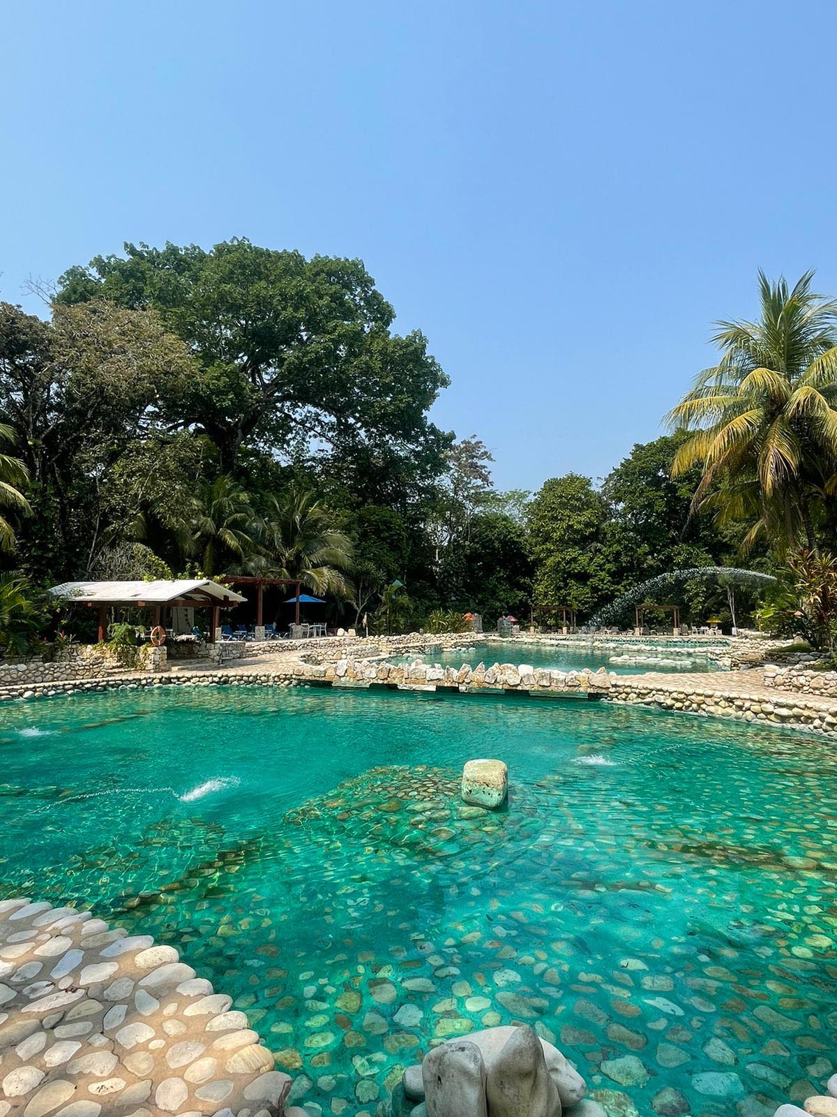 Hoteles wellness en palenque chiapas: descubre 3 hoteles que combinan confort y naturaleza la revista del sureste mx 487876956 1075510021274724 3065104553307263063 N