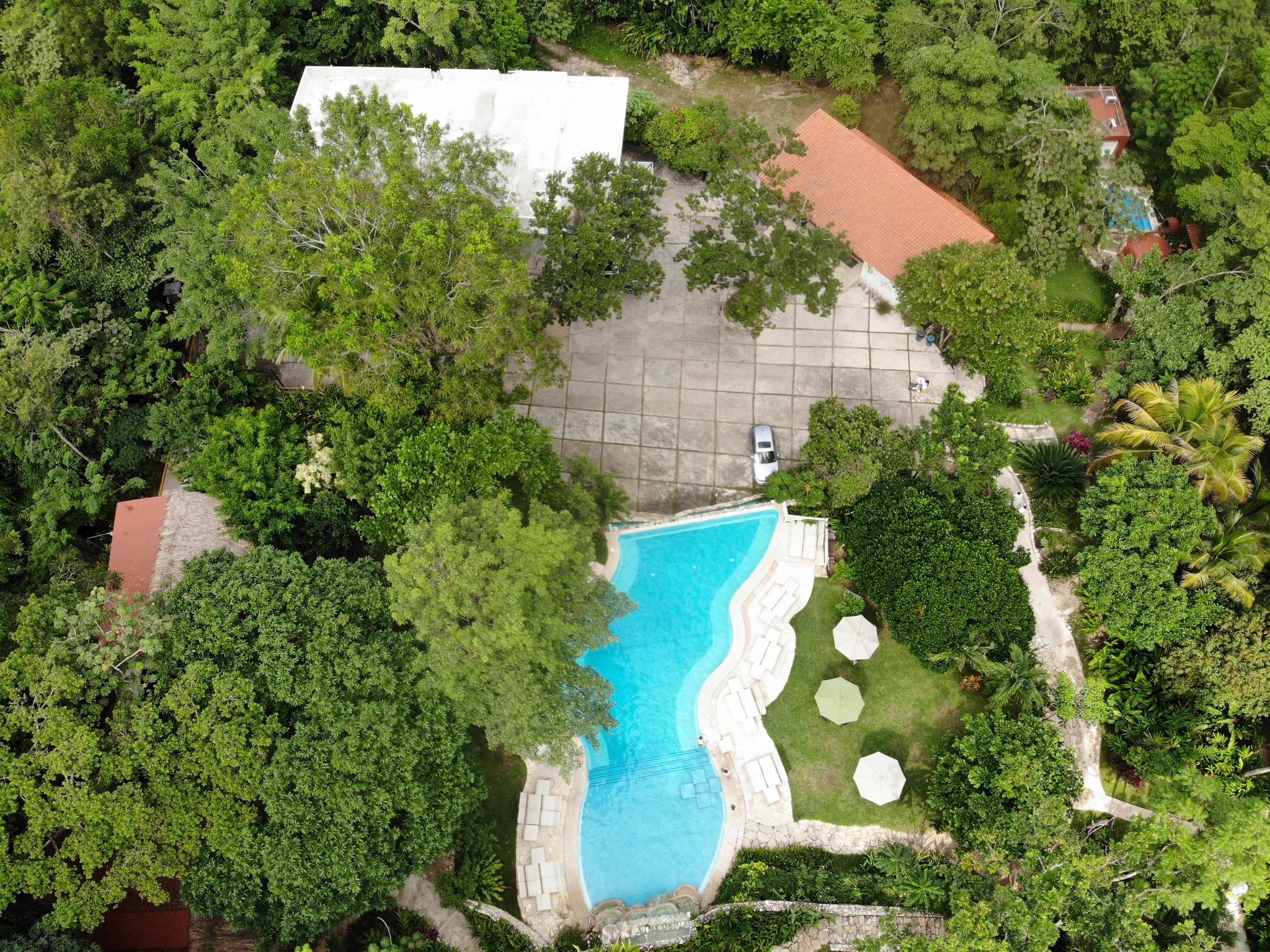 Hoteles wellness en palenque chiapas: descubre 3 hoteles que combinan confort y naturaleza la revista del sureste mx 493264195 1322608149283088 2664008976044715226 N