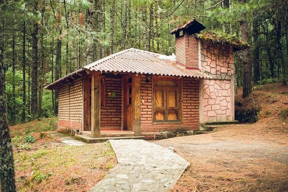 5 Cabanas En La Naturaleza Cerca De Oaxaca Escapadas Perfectas Para Reconectar