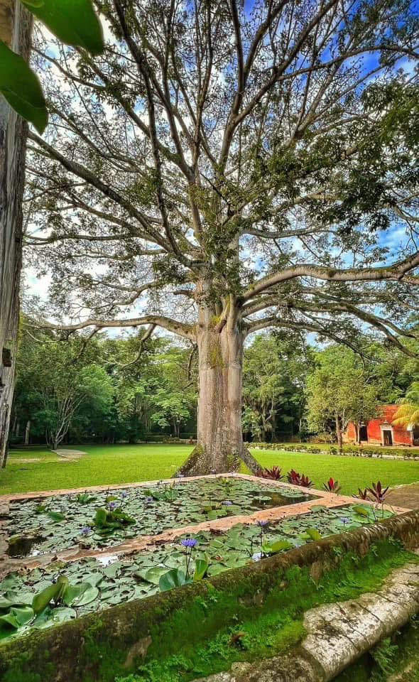 Conoce 4 hoteles de campeche que redefinen el turismo de descanso en el corazón del mundo maya la revista del sureste mx 501130571 1234379994728729 8095503143934782569 N