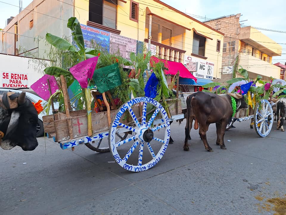 506438252 30940946102171507 2338614871760217731 N