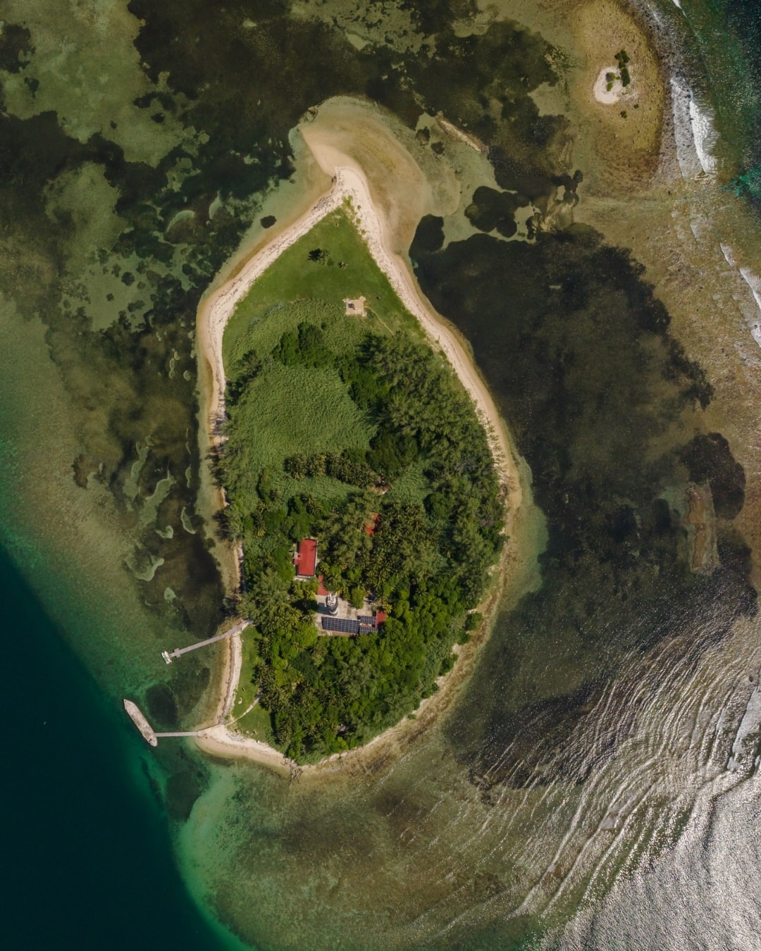 Isla de sacrificios: tesoros prehispánicos y naturaleza única frente a veracruz la revista del sureste mx 540969548 1399678405318738 2471762106449463614 N