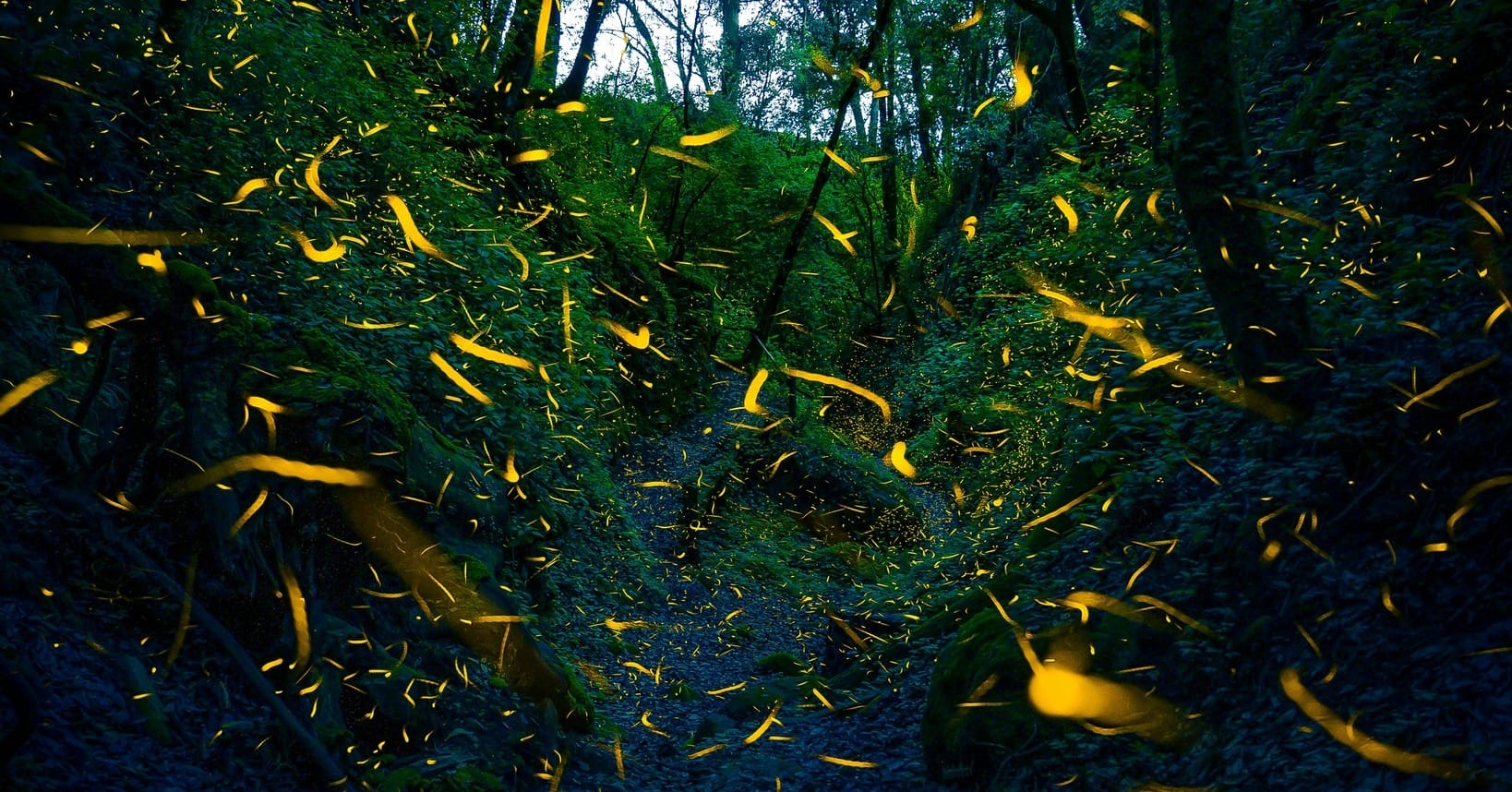 558159514 854799643545101 2402284444204139015 N