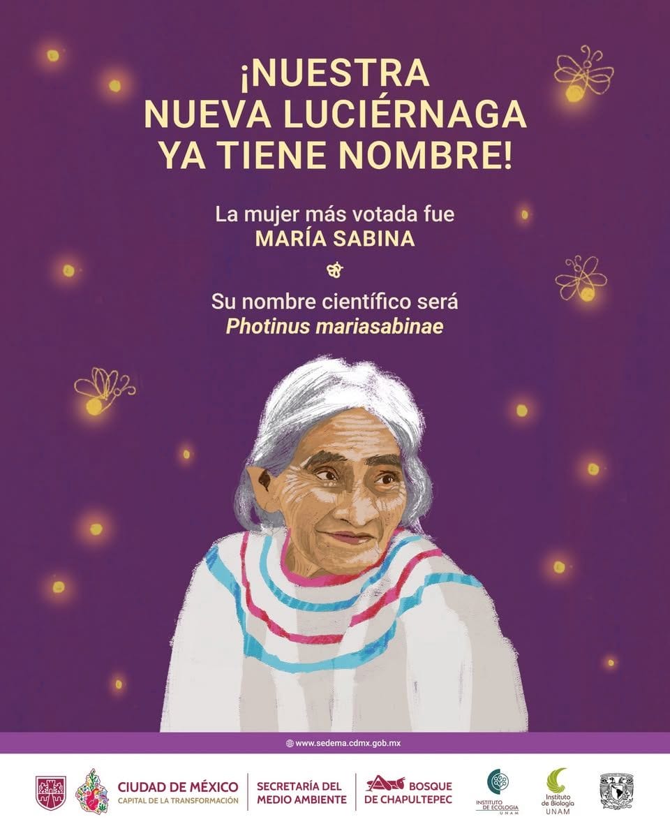 560677232 1303303921590647 4254247642509853617 N