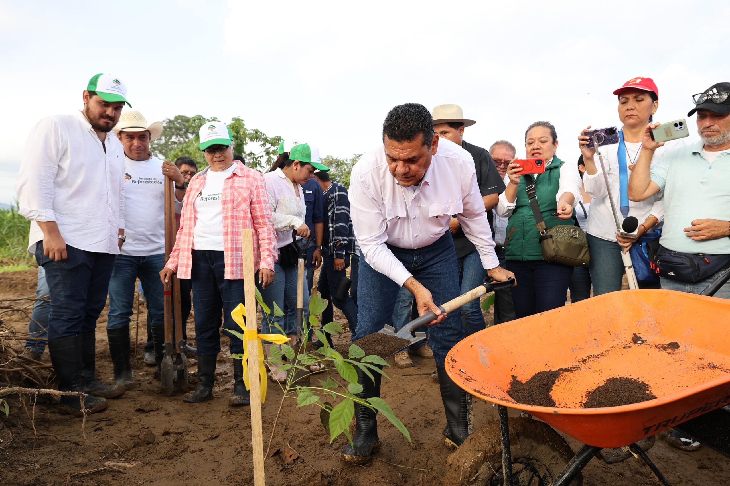 Tabasco Verde Pueblo Y Gobierno Superan 2.7 Millones De Arboles Sembrados En Historica Jornada Scaled