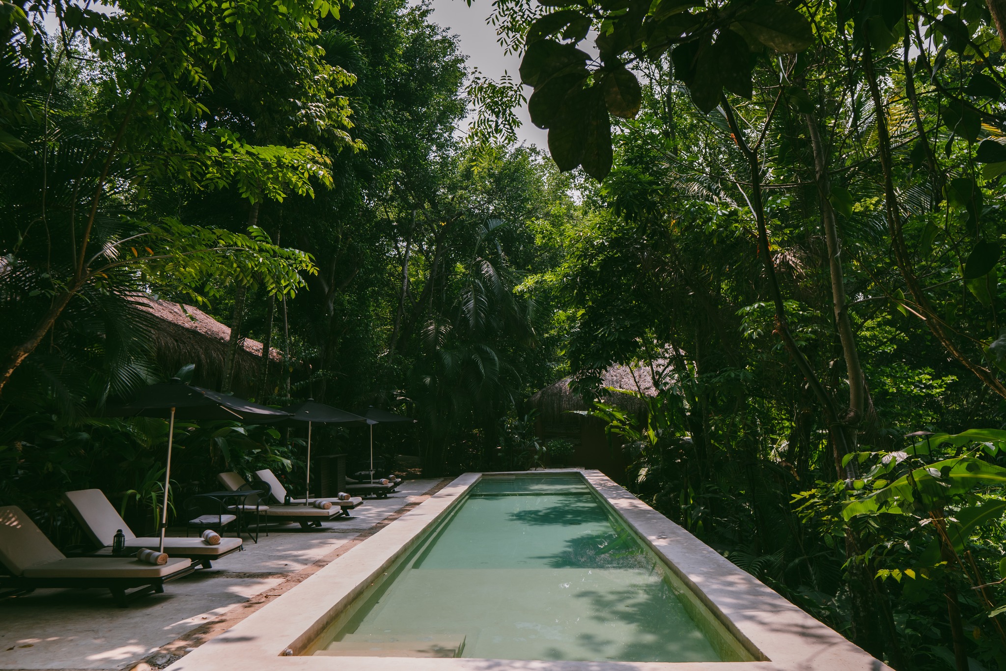 Te Presentamos 3 Hoteles Wellness En Palenque Experiencias De Sanacion Que Conquistan A Viajeros De Todo El Mundo