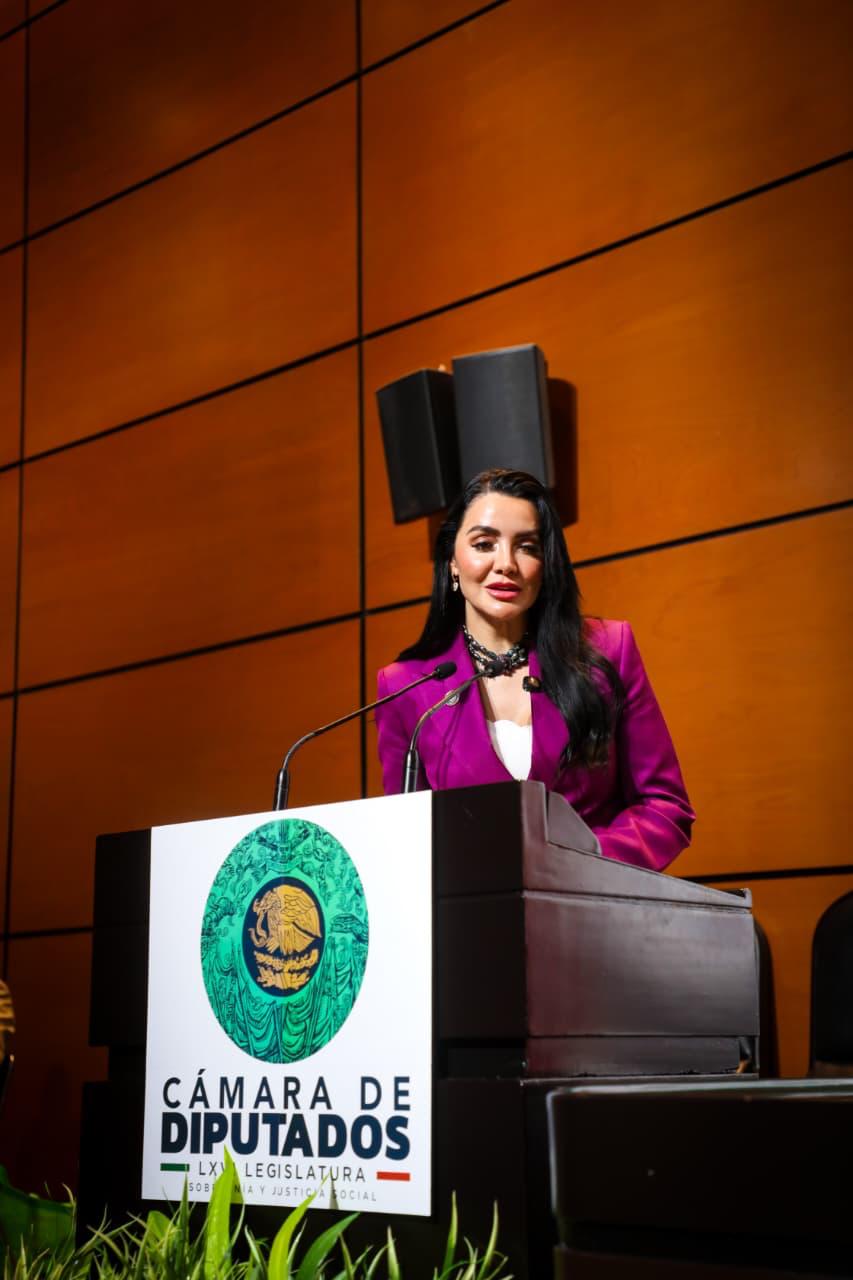 Inversiones mixtas para el bienestar: propuesta de gabriela jiménez busca desarrollo económico inclusivo la revista del sureste mx Whatsapp Image 2025 09 29 At 4.09.54 Pm