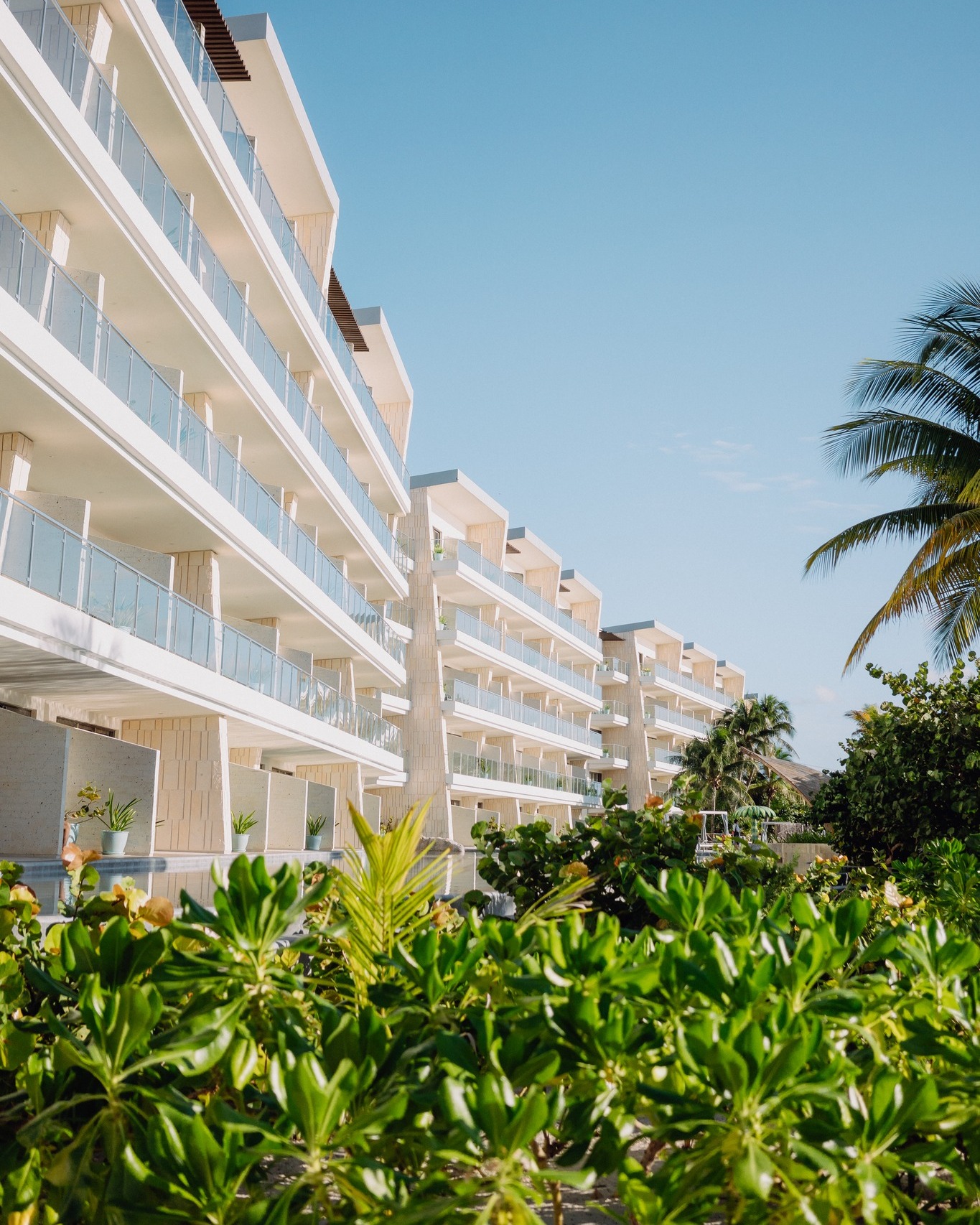 Lujo, naturaleza y bienestar: descubre los hoteles del sureste mexicano con dos llaves michelin 2025 la revista del sureste mx 480872780 967775332137426 9143503237313489617 N