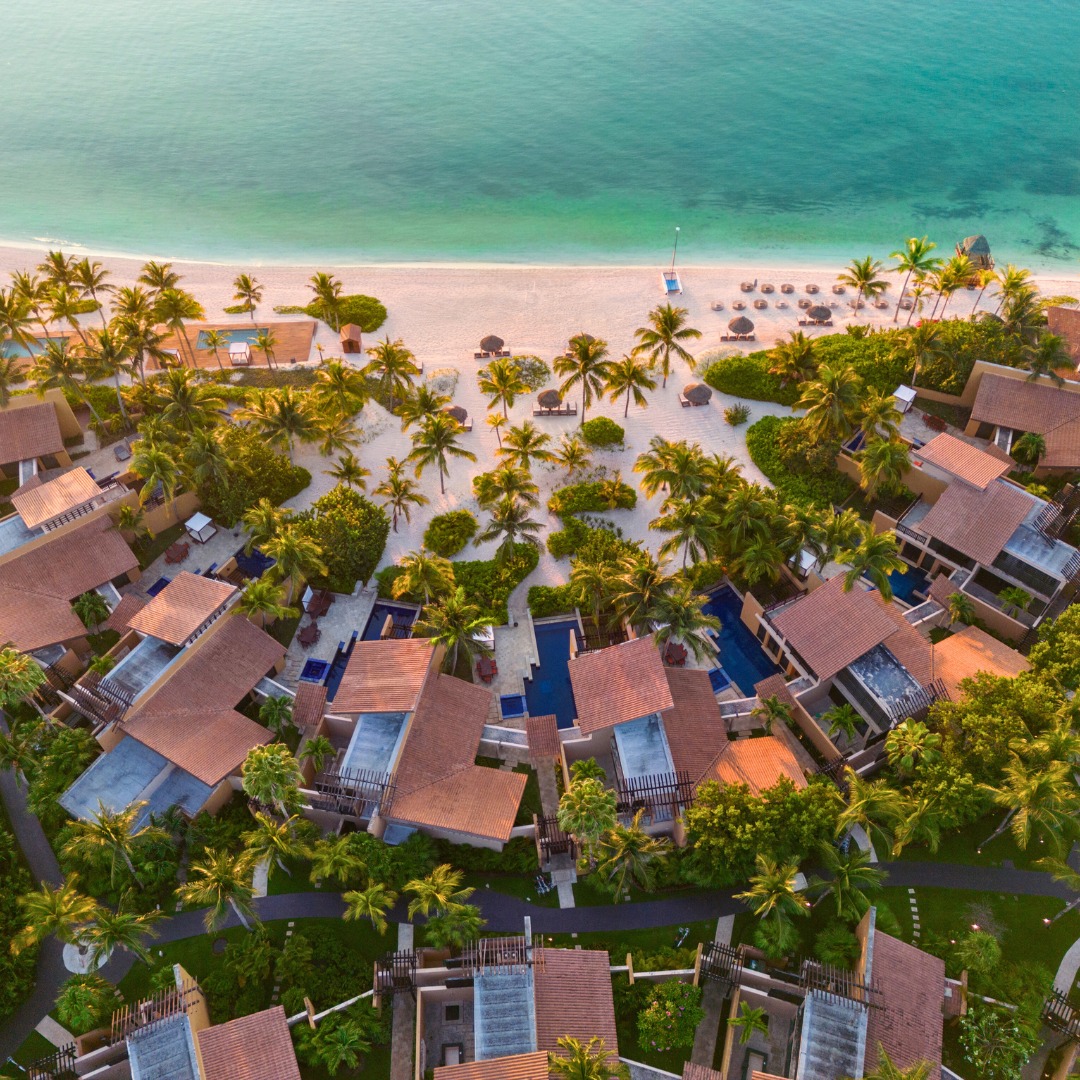 486103022 1068632015288699 2500637750821567503 N