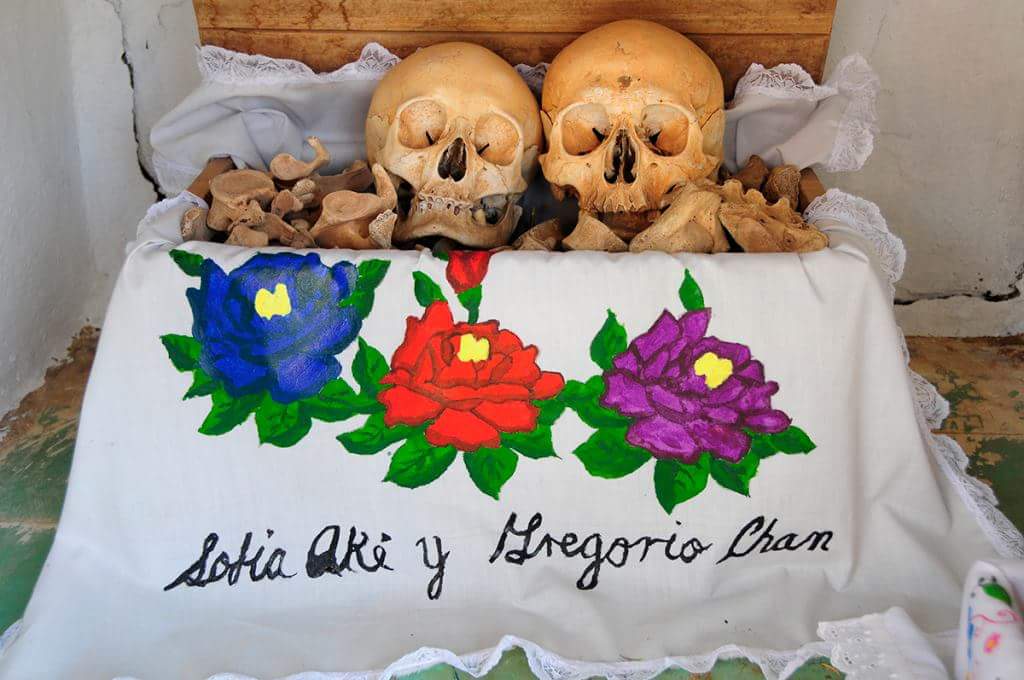 508070981 23954365037587613 590870449134831023 N