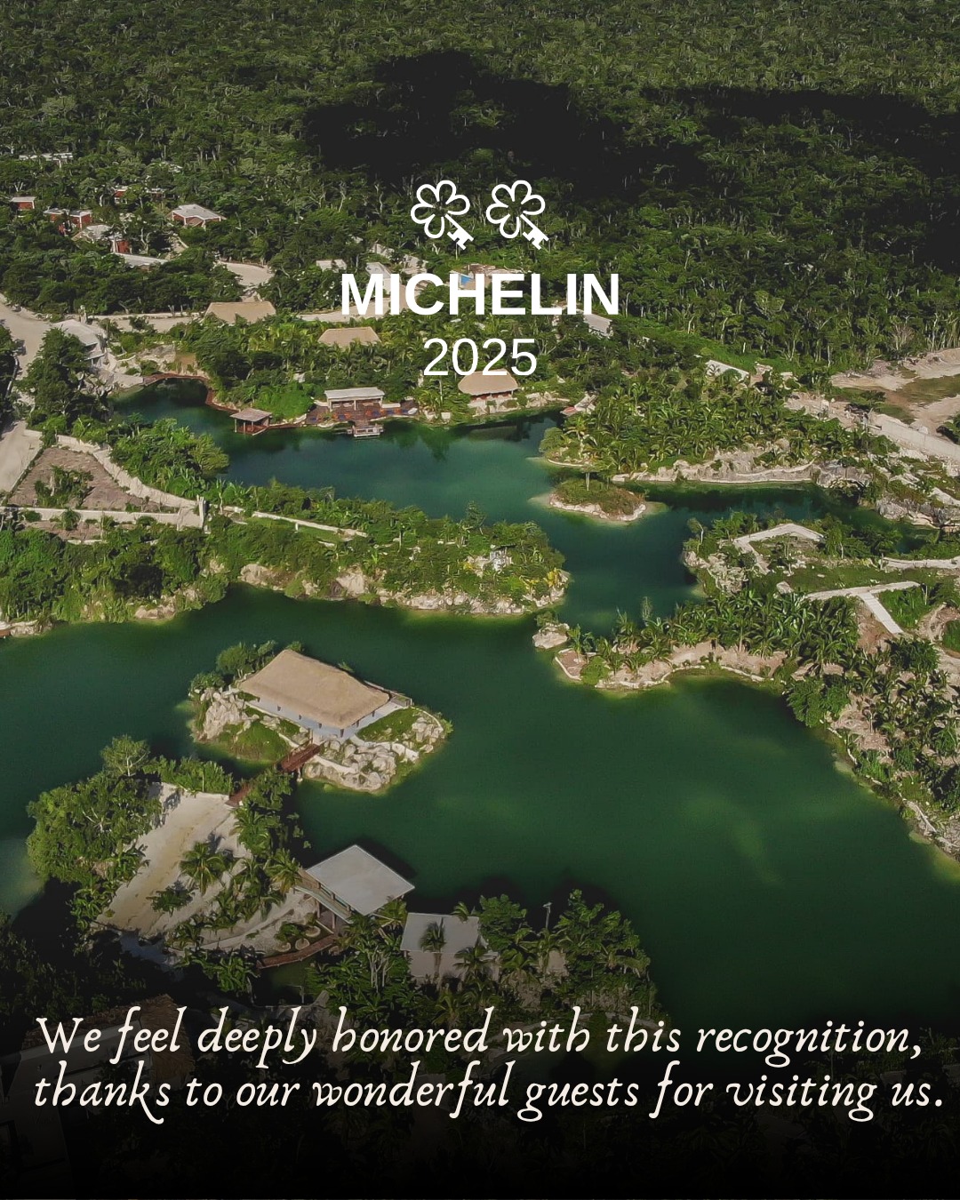 559445807 1398065052321124 3323623337460883321 N