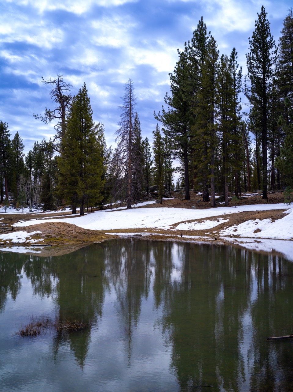 Destinos nevados en méxico para vivir una navidad mágica este diciembre la revista del sureste mx Sierra De San Pedro Martir