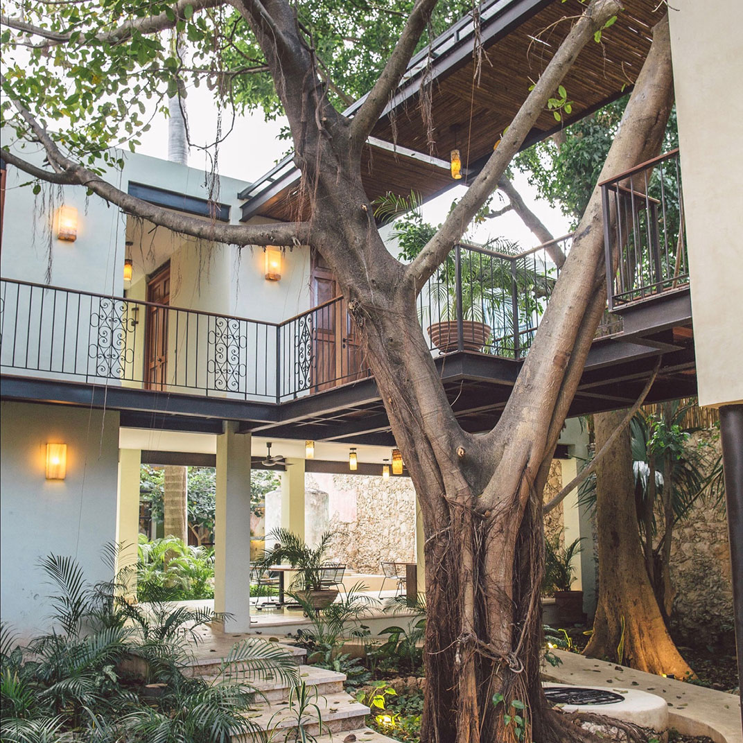 Mérida suma cuatro hoteles reconocidos con una llave michelin 2025 — ¡descúbrelos! La revista del sureste mx Treehouse Boutique Hotel