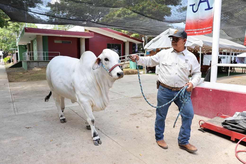 “tabasco impulsa la ganadería nacional con la tercera muestra mexicana del cebú 2025” la revista del sureste mx Whatsapp Image 2025 11 01 At 5.05.31 Pm 5