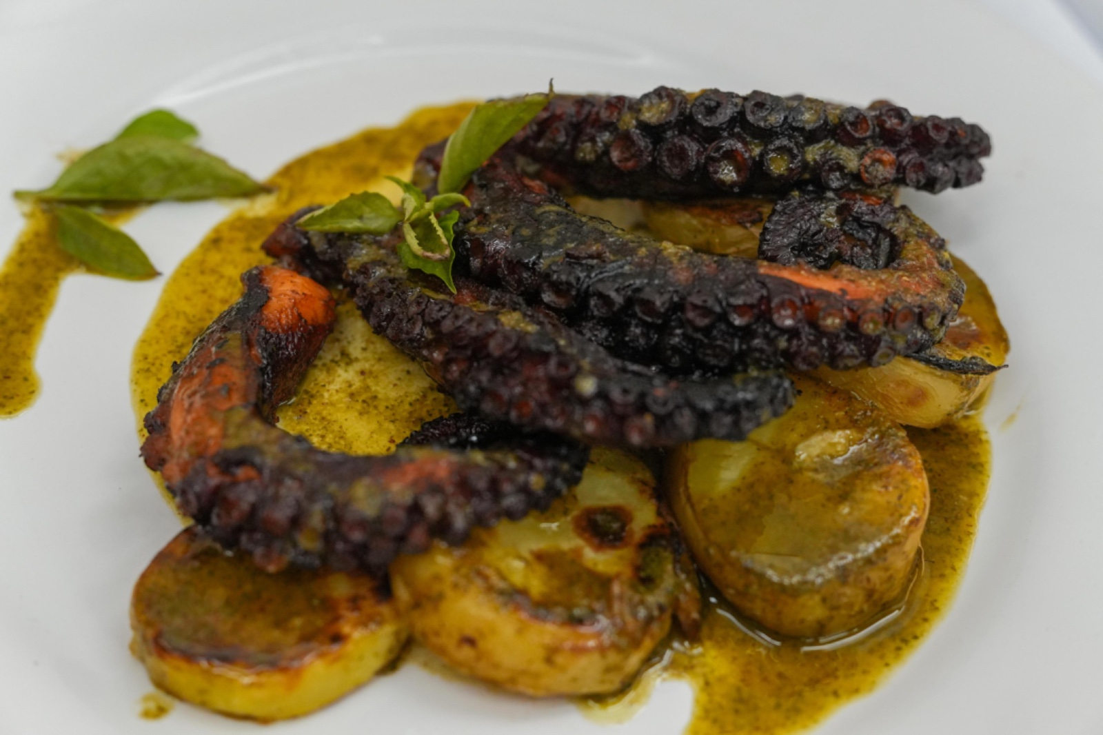 Whatsapp Image 2025 11 10 At 2.50.58 Pm 2