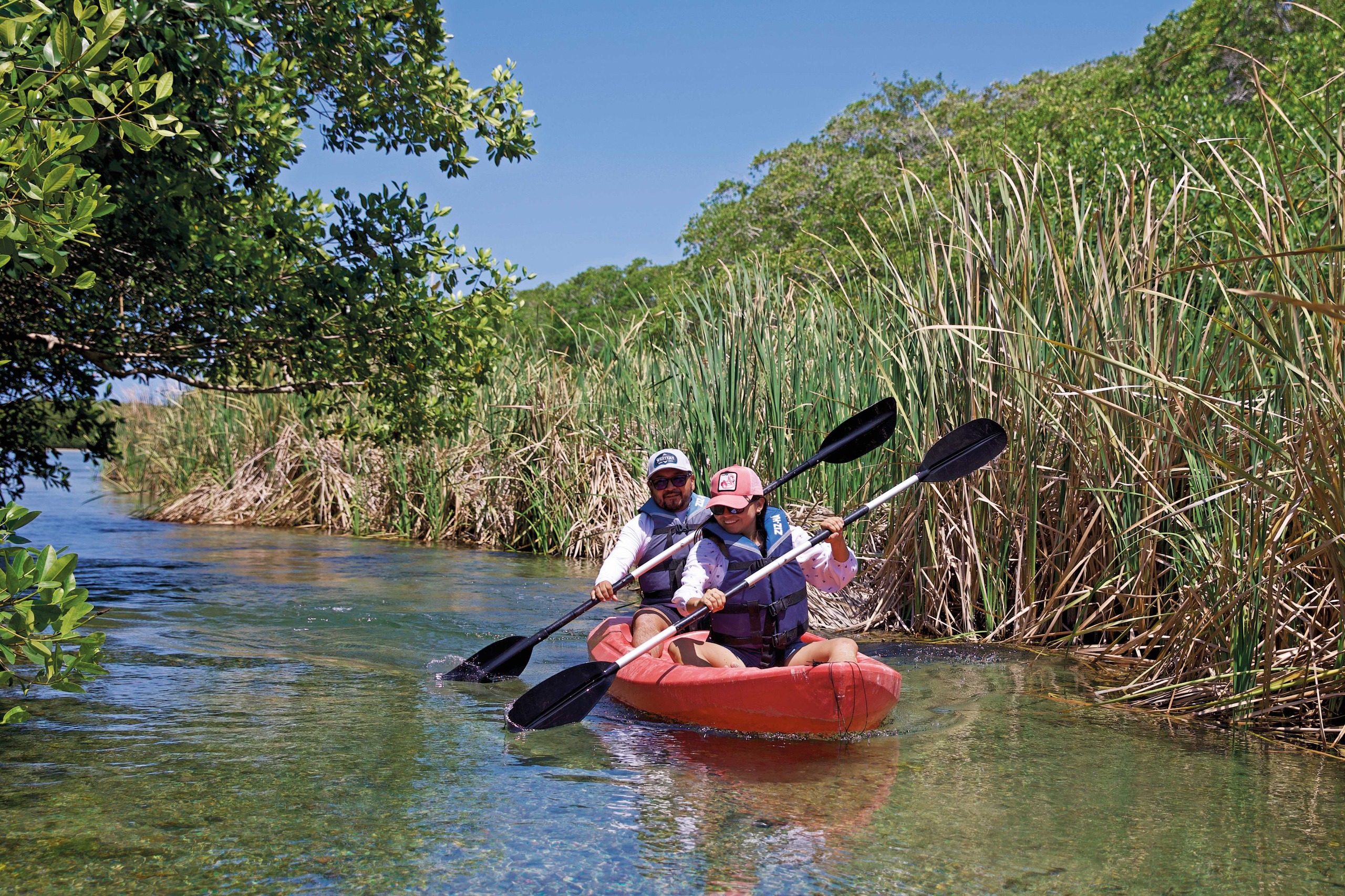 Yucatán en hidalgo: tradición, sabor y cultura en el 7° tianguis nacional de pueblos mágicos 2025 la revista del sureste mx Whatsapp Image 2025 11 12 At 12.42.16 Pm 2