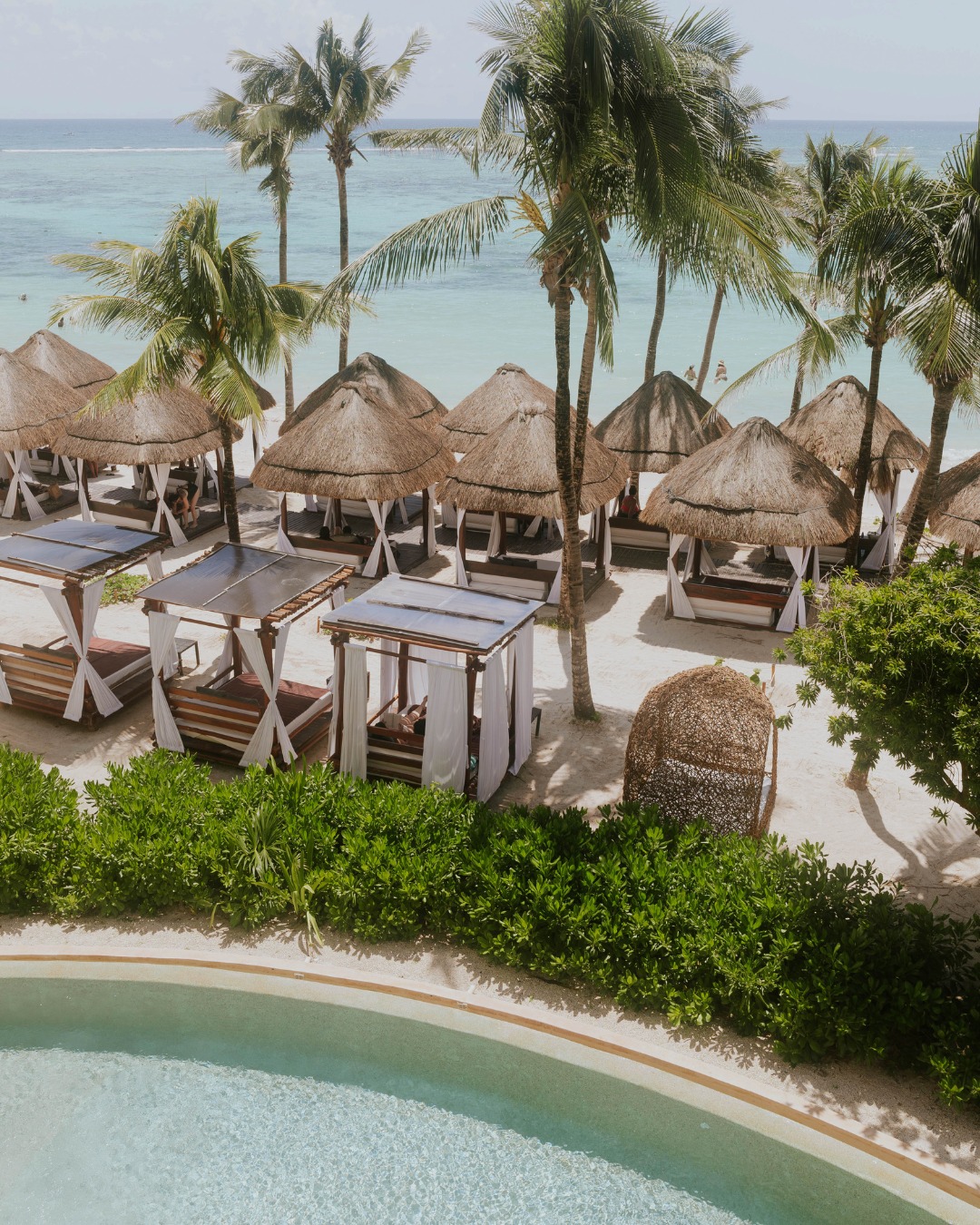 ¡ni dubái ni maldivas! El mejor hotel del mundo está en tulum: secrets akumal conquista tripadvisor la revista del sureste mx 504984431 1303363435131580 713609008160260530 N