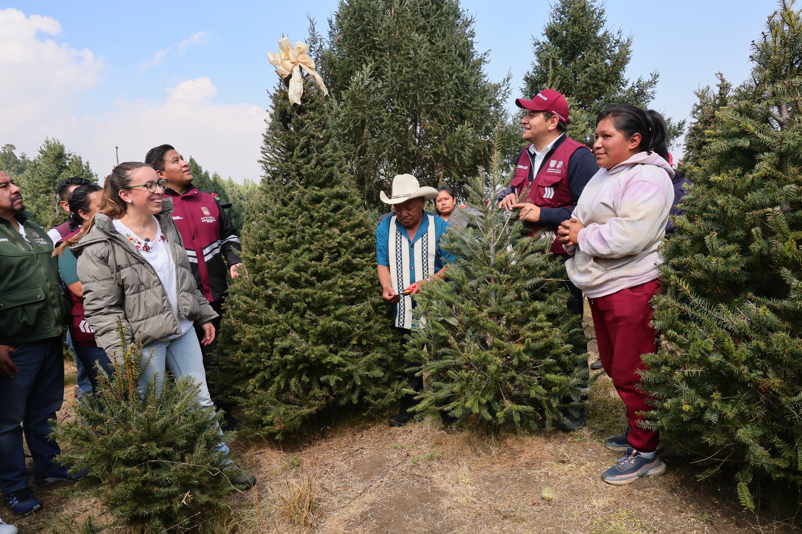 CDMX inicia temporada de árboles de Navidad sustentables y fortalece la defensa del suelo de conservación