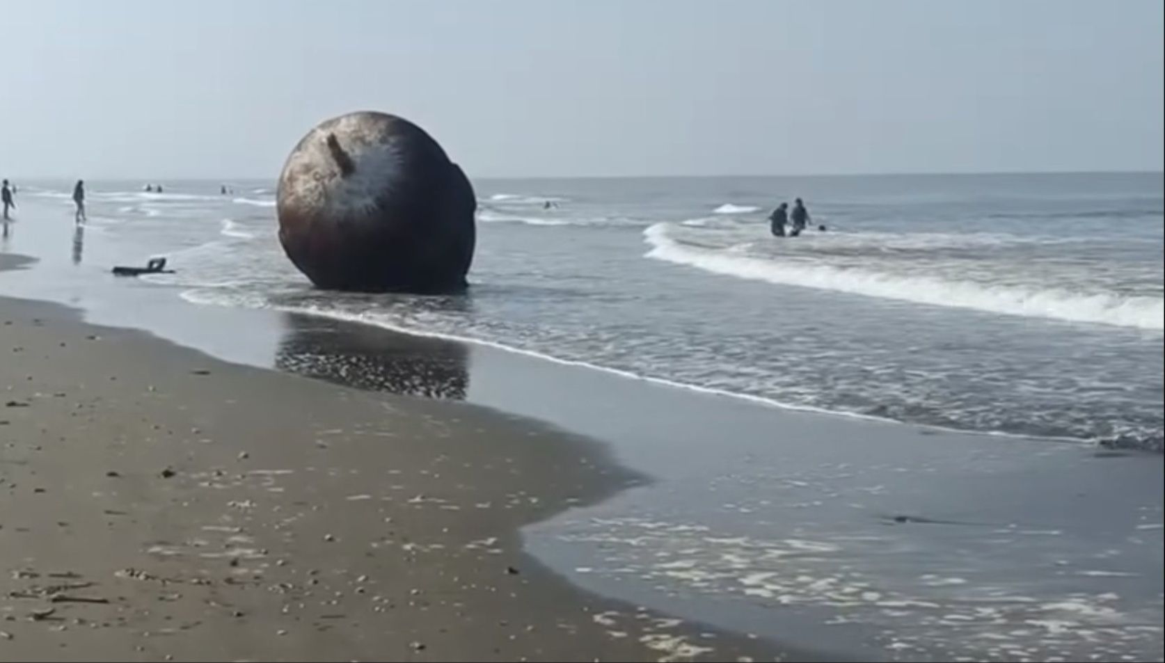 Viral En Veracruz Monoboya De Casi 2 Toneladas Llega A Playa De Coatzacoalcos Y Se Convierte En Nuevo Atractivo Turistico