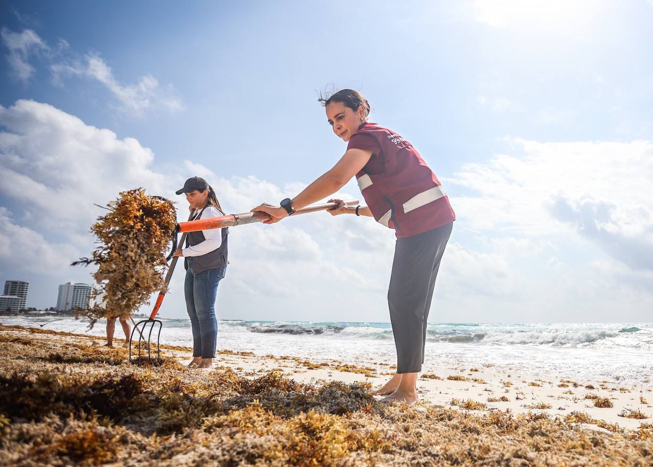 Cifra Record En Cancun Ana Paty Destaca Retiro De 16 Mil Toneladas De Sargazo