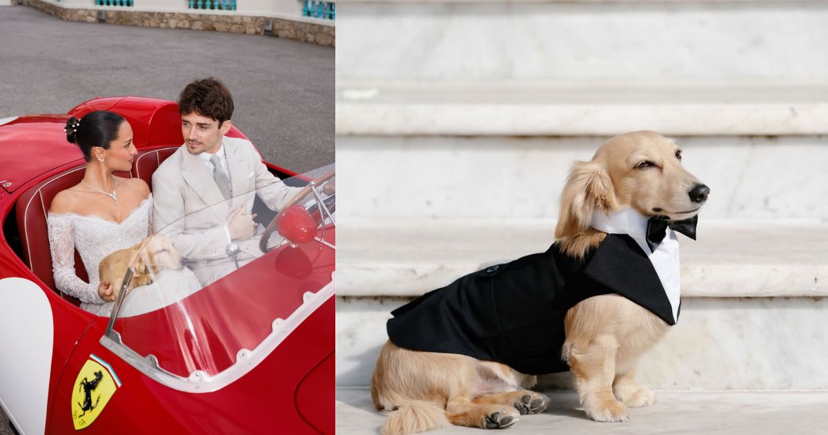 El Fenomeno Leo Leclerc Cronica Del Invitado Que Eclipso La Boda Real De La Formula 1 En Monaco