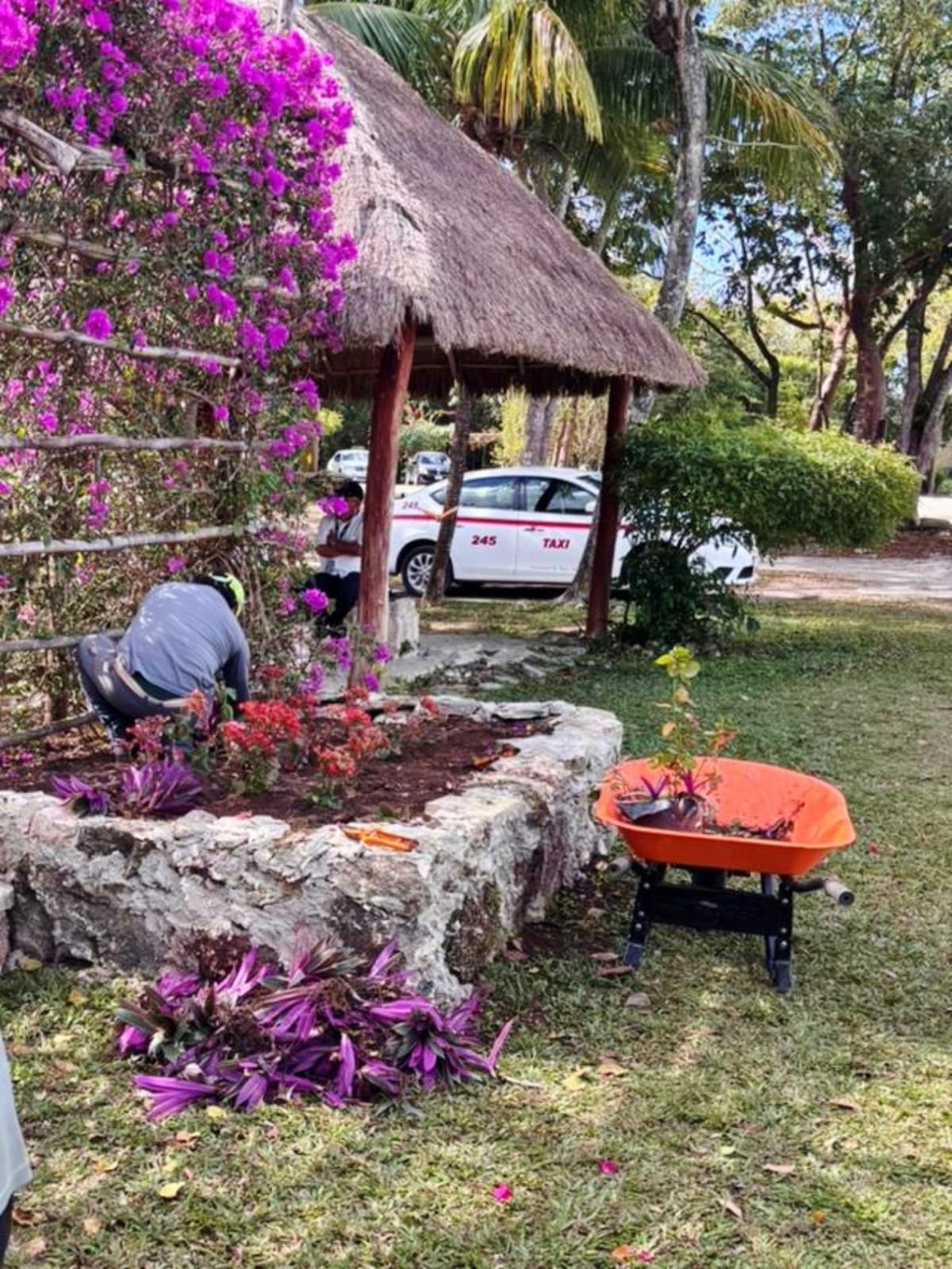 La Fundación De Parques Y Museos De Cozumel (Fpmc)