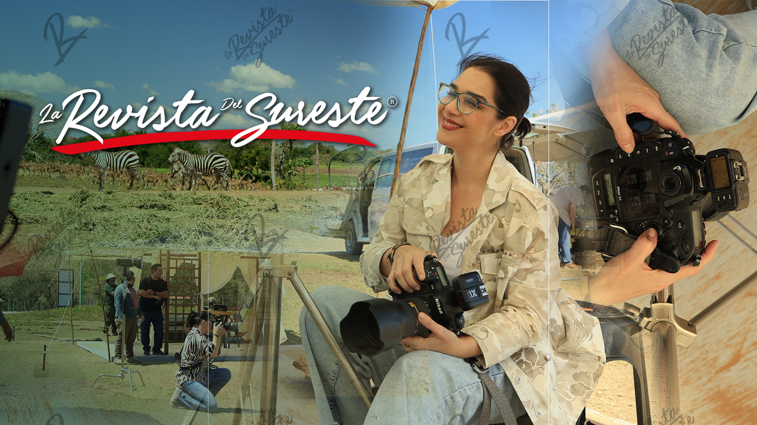 Paola Padron Artista Visual