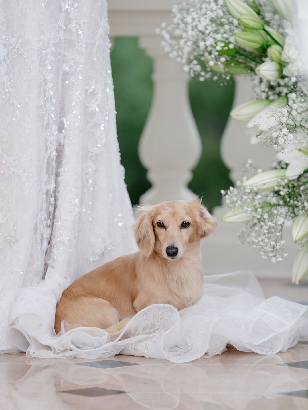 El fenómeno leo leclerc: crónica del invitado que eclipsó la boda real de la fórmula 1 en mónaco la revista del sureste mx Leo Leclerc