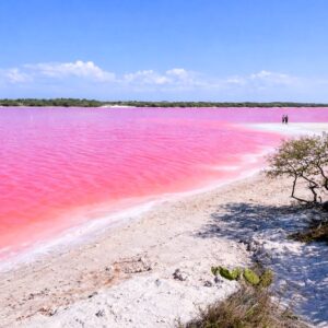 Paisaje Costero De Las Salineras De La Herradura En Calkiní, Campeche. Se Observa Una Laguna De Agua Color Rosa Intenso Que Contrasta Con La Arena Blanca Y Un Cielo Azul Despejado. Al Fondo, Se Ven Siluetas De Personas Caminando Por La Orilla Y Vegetación Baja De Manglar.