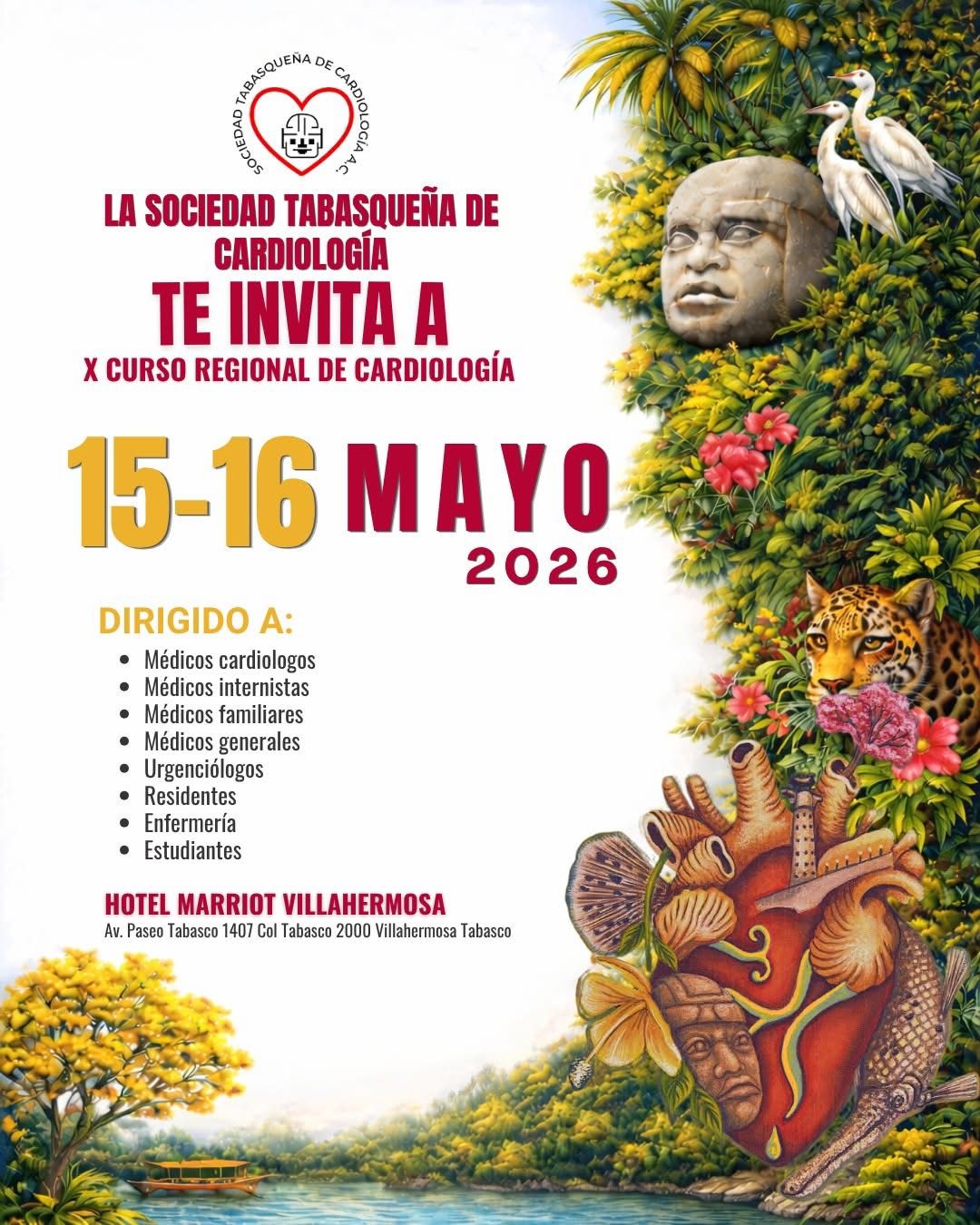 Tabasco será sede del x curso regional de cardiología en mayo de 2026 la revista del sureste mx Cartel Oficial Del X Curso Regional De Cardiología En Villahermosa, Tabasco. La Imagen Muestra Una Composición Artística Que Mezcla La Anatomía Del Corazón Con Elementos Culturales De Tabasco, Como Una Cabeza Olmeca, Un Jaguar, Garzas Y Flores De Guayacán. Incluye El Logotipo De La Sociedad Tabasqueña De Cardiología A.c. Y Los Detalles Del Evento Para Los Días 15 Y 16 De Mayo De 2026.