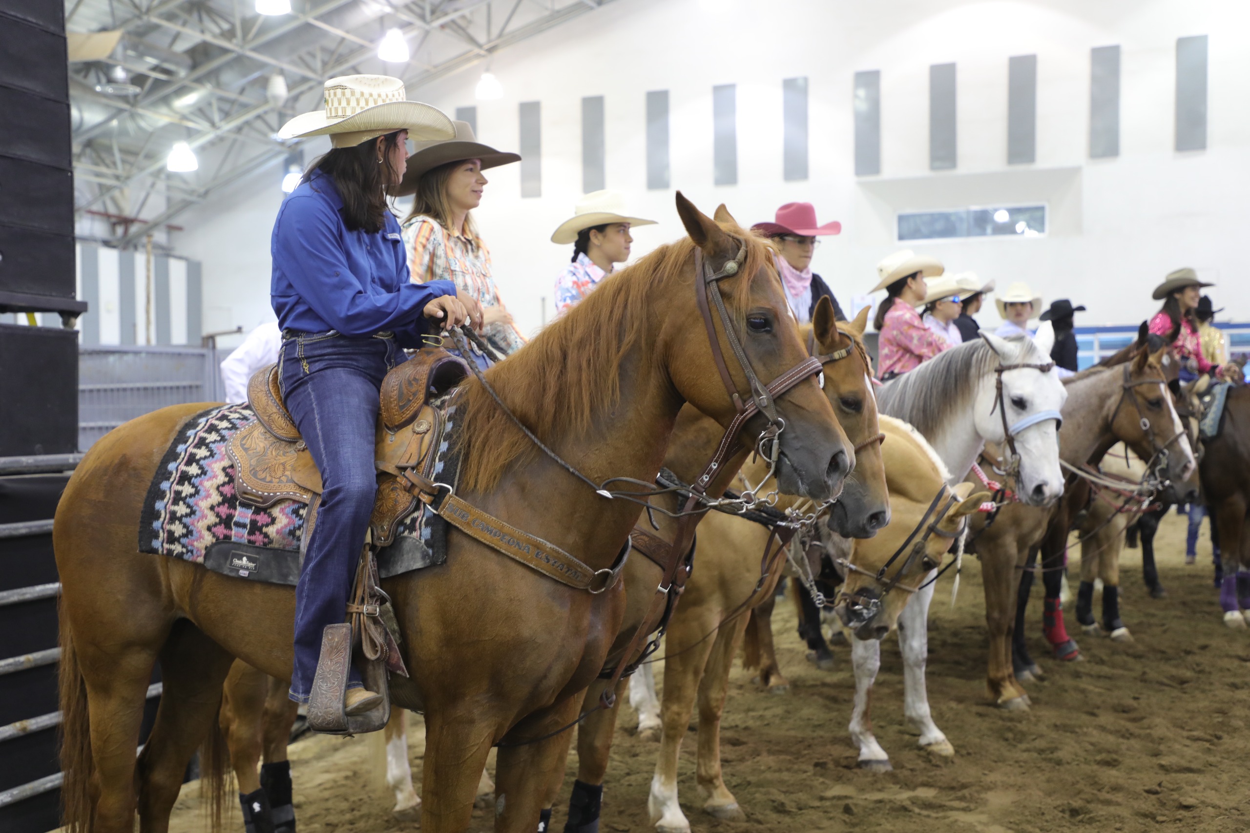 Una Hilera De Mujeres Jinetes Montadas A Caballo Dentro De Un Recinto Ferial Techado Durante El Primer Congreso Nacional Del Caballo En Veracruz.