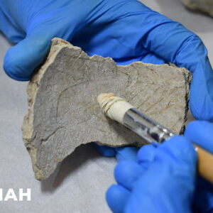 Descubren urna maya con figura de búho que revela rituales funerarios en la península de yucatán la revista del sureste mx Se Observan Unas Manos Protegidas Con Guantes De Látex Azul Sosteniendo Con Cuidado Un Fragmento De Cerámica Arqueológica De Color Beige Y Textura Rugosa. Con La Otra Mano, Utilizan Un Pincel De Cerdas Claras Y Mango De Madera Para Realizar Labores De Limpieza Fina Sobre La Superficie Del Vestigio Prehispánico. En La Esquina Inferior Izquierda Se Aprecia En Color Blanco El Logotipo Oficial Del Inah.