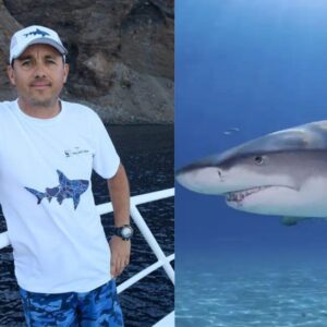 El guardián de los gigantes del pacífico: el mexicano mauricio hoyos gana el prestigioso premio buffett de national geographic 2026 la revista del sureste mx Composición Digital En Formato Horizontal Dividida En Dos Imágenes Cuadradas. A La Izquierda, El Biólogo Marino Mexicano Mauricio Hoyos Padilla Posa De Pie En La Cubierta De Una Embarcación En El Mar, Apoyado Contra Un Barandal Blanco. Viste Una Playera Blanca Con El Diseño De Un Tiburón Estilizado En El Pecho, Una Gorra Blanca Con El Logotipo De Un Tiburón Y Bermudas Con Estampado De Camuflaje Azul; Al Fondo Se Aprecia Un Acantilado Rocoso Y Árido Junto Al Océano Oscuro.