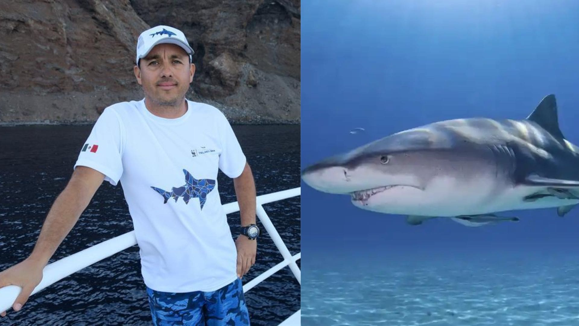 El guardián de los gigantes del Pacífico: El mexicano Mauricio Hoyos gana el prestigioso Premio Buffett de National Geographic 2026