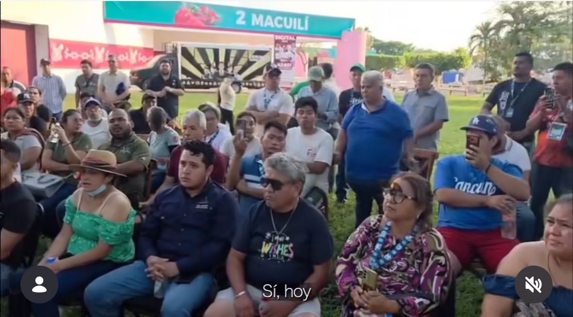 Un Plano Medio-Ancho Captura A Un Grupo Heterogéneo De Aproximadamente 30 Personas, Hombres Y Mujeres De Diversas Edades, Sentadas Y De Pie En Una Zona De Césped Al Aire Libre.