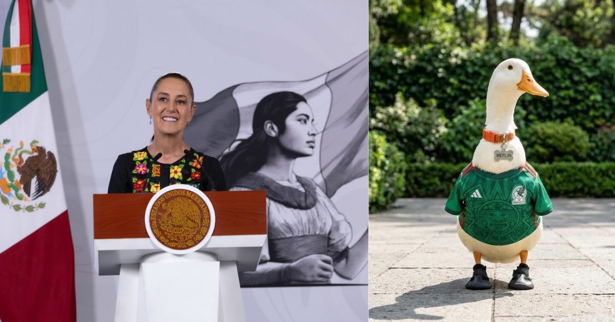 Una Imagen Compuesta Por Dos Fotografías Verticales Dispuestas Lado A Lado. A La Izquierda, La Presidenta De México, Claudia Sheinbaum, Aparece Sonriendo Detrás De Un Podio Presidencial Blanco Con Detalles De Madera Y El Escudo Nacional Dorado. Viste Una Blusa Negra Con Coloridos Bordados Florales Tradicionales. Detrás De Ella Se Observa La Bandera De México Y Una Gran Ilustración En Blanco Y Negro De Una Mujer Indígena Portando La Bandera. A La Derecha, Se Muestra Al Pato Merlín Posando De Frente Sobre Un Suelo De Cantera Al Aire Libre, Con Vegetación Verde Difuminada Al Fondo. El Pato, De Plumaje Blanco, Viste La Playera Verde De La Selección Mexicana De Futbol, Lleva Un Collar Naranja Con Una Placa Metálica En Forma De Hueso Que Dice &Quot;Merlin&Quot;, Y Calza Unos Pequeños Tenis Negros En Sus Patas.