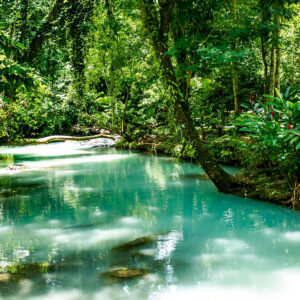 Un Río De Aguas Turquesas Y Cristalinas Fluye A Través De Una Densa Selva Tropical En Tabasco, México. La Escena Muestra Una Exuberante Vegetación Verde Con Árboles Altos, Follaje Tropical Y Flores Rojas Silvestres A La Orilla Del Agua, Capturando El Paisaje Natural De La Ruta Aventura En La Sierra.
