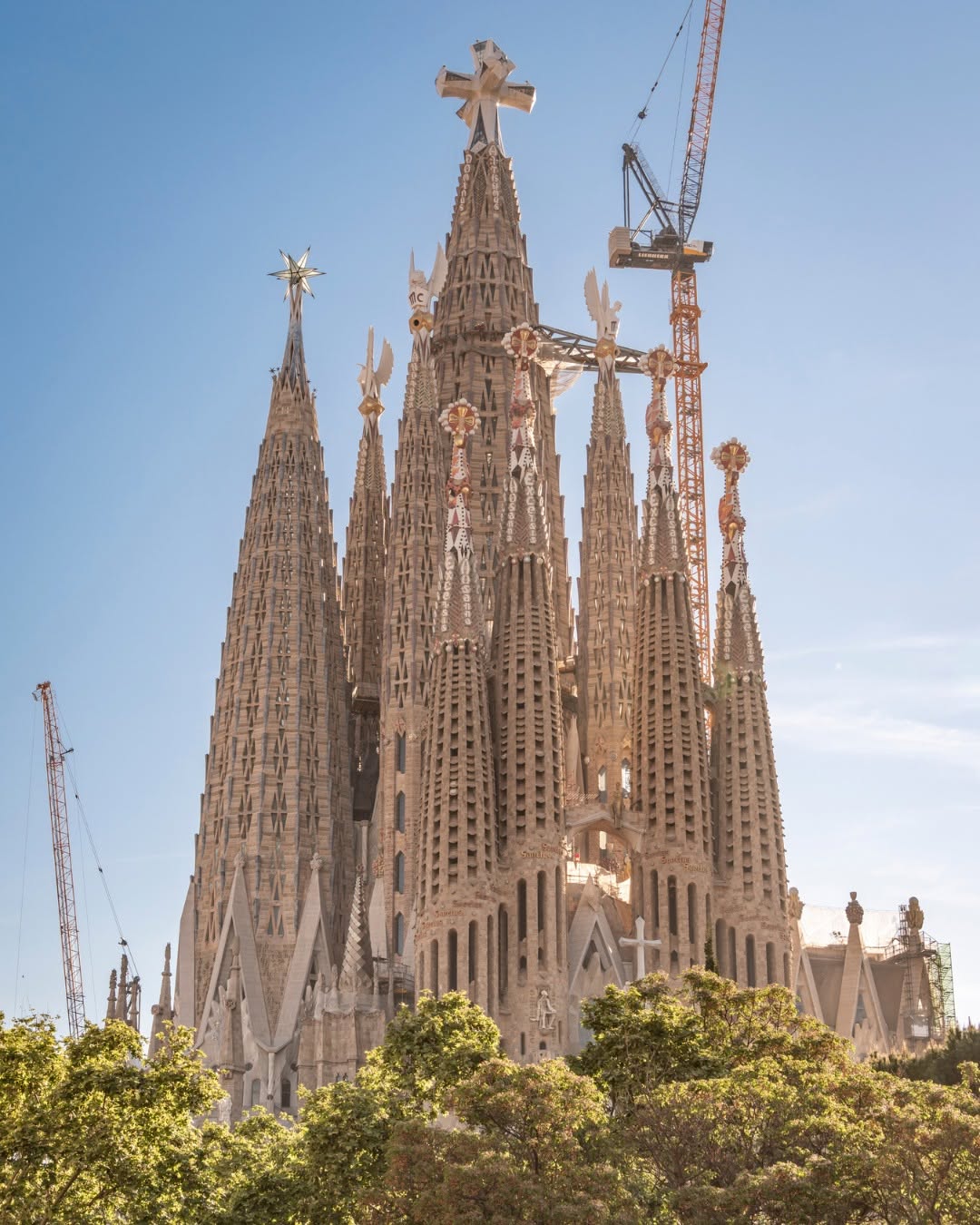 Fotografía Vertical En Plano Contrapicado De La Basílica De La Sagrada Familia En Barcelona, Bajo Un Cielo Azul Despejado Y La Brillante Luz Del Sol. En Primer Plano, Las Copas Frondosas De Varios Árboles Verdes Cubren La Base Del Templo.
