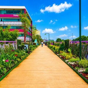Tlallipan: cdmx inaugura el primer segundo piso peatonal y jardín flotante del continente la revista del sureste mx Fotografía En Perspectiva Central Que Muestra El Andador Peatonal Del Jardín Flotante &Amp;Quot;Tlallipan&Amp;Quot; En La Ciudad De México Bajo Un Cielo Azul Con Nubes Dispersas. El Pasillo, Pavimentado Con Un Acabado De Color Ocre Claro, Se Extiende Hacia El Fondo Flanqueado A Ambos Lados Por Jardineras Repletas De Vegetación Verde, Plantas Polinizadoras Y Flores De Colores.