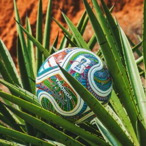 De oaxaca para el mundo: transforman balón oficial del mundial 2026 en una obra de arte y alebrije mundialista la revista del sureste mx Un Balón Oficial De Fútbol Adidas &Amp;Quot;Trionda&Amp;Quot; Intervenido Artísticamente Descansa En El Centro De Una Planta De Agave Verde Con Hojas Largas Y Espinosas. La Superficie Curva Del Cuero Blanco Está Cubierta Con Intrincados Patrones Geométricos Pintados A Mano En Vibrantes Tonos De Verde, Azul, Naranja, Rojo Y Amarillo, Evocando El Estilo Tradicional Del Arte Zapoteca Y Los Alebrijes Oaxaqueños.