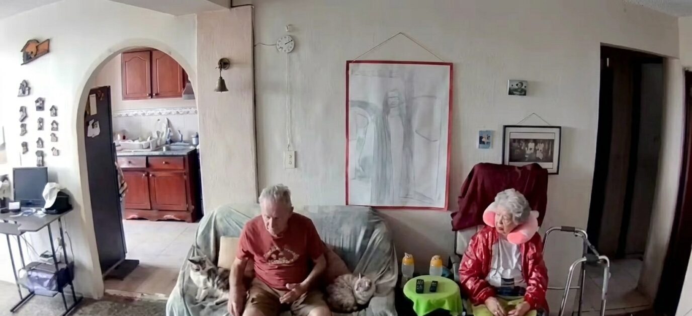 Una pareja de adultos mayores durante el terremoto en venezuela conmueve en redes: “amor, no te vayas” la revista del sureste mx Una Pareja De Adultos Mayores Durante El Terremoto En Venezuela Conmueve En Redes&Quot; Que Muestra El Interior De Una Casa Donde Una Abuela Con Chaqueta Roja, Almohadilla De Viaje Rosa Y Cobija A Cuadros Permanece En Su Silla Junto A Una Andadera, Mientras Su Esposo En Camiseta Roja Y Shorts Está Sentado En Un Sillón Gris Al Lado De Dos Gatos, Segundos Antes De Que La Fuerte Sacudida Del Sismo Interrumpiera La Tranquilidad De Su Hogar.