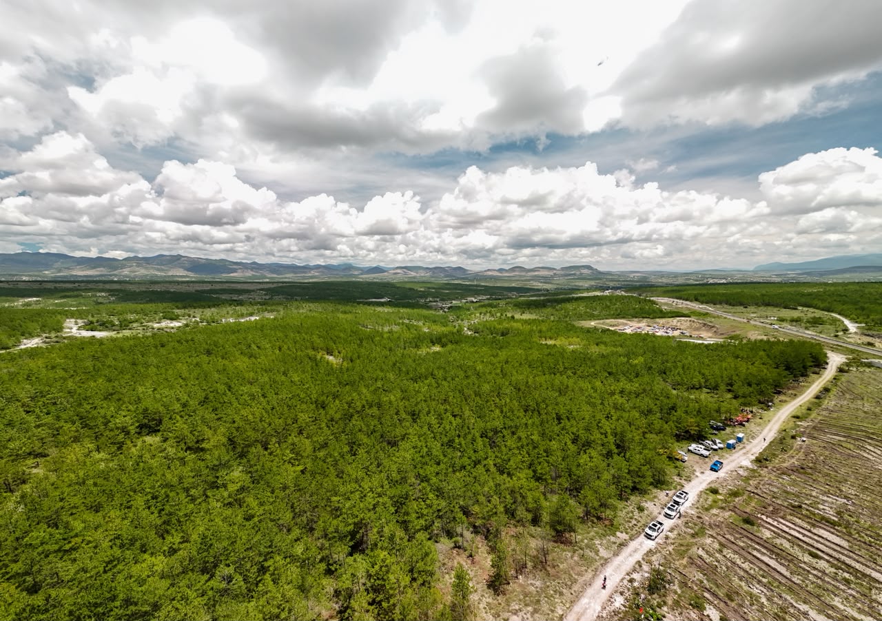 Alianza por el futuro: oaxaca y el gobierno de méxico fortalecen la restauración ecológica y la reforestación la revista del sureste mx Alianza Por El Futuro Oaxaca Y El Gobierno De