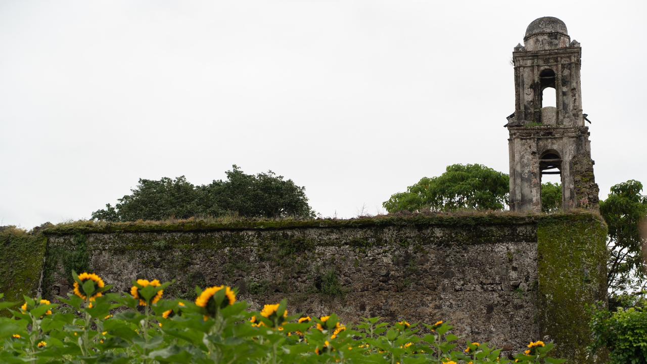 Región cultura y aventura: el corazón histórico de veracruz la revista del sureste mx Ruinas De Una Antigua Torre De Iglesia De Piedra Con Vegetación, Sobre Una Barda Cubierta De Musgo Y Frente A Un Campo De Girasoles.