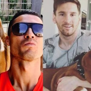Una vida 'de perros': las estrellas del fútbol mundial y su amor por las mascotas la revista del sureste mx Lionel Messi Sentado En Un Sofá Junto A Su Perro Hulk, Un Gran Dogo De Burdeos, Durante Un Momento De Descanso En Su Hogar.