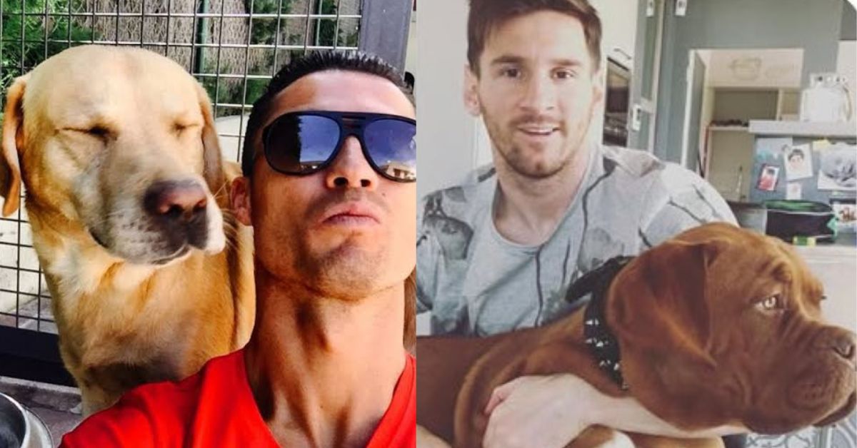Una vida 'de perros': las estrellas del fútbol mundial y su amor por las mascotas la revista del sureste mx Lionel Messi Sentado En Un Sofá Junto A Su Perro Hulk, Un Gran Dogo De Burdeos, Durante Un Momento De Descanso En Su Hogar.