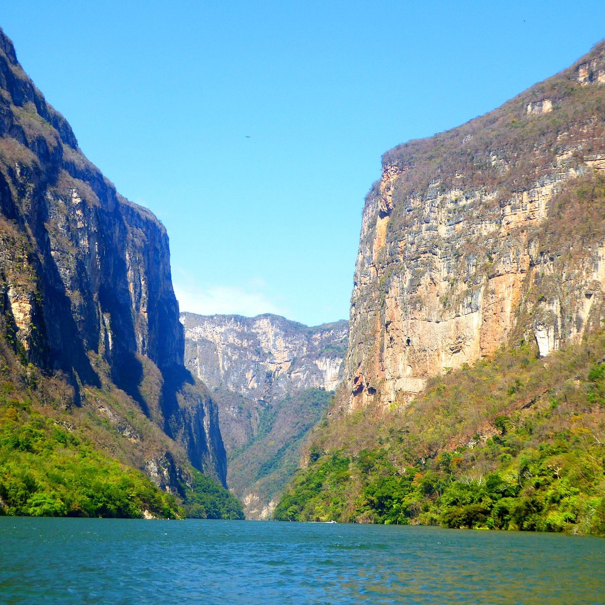 Momentos de angustia en el cañón del sumidero: turistas quedan atrapados en lancha tras sorpresiva e intensa tormenta la revista del sureste mx Vista Panorámica Del Cañón Del Sumidero Durante Un Día Soleado, Mostrando El Río Grijalva Fluyendo Entre Imponentes Acantilados Rocosos Cubiertos De Vegetación En Su Base. Esta Imagen Contrasta Con Los Repentinos Cambios De Clima Y Tormentas Que Pueden Sorprender A Los Turistas Durante Sus Recorridos En Lancha.