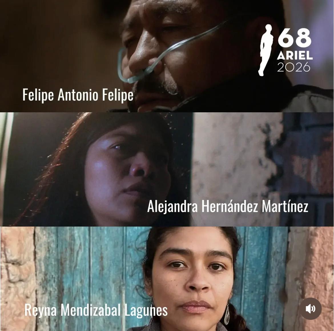 La Amacc Revela Las Nominaciones Para Los Premios Ariel 68